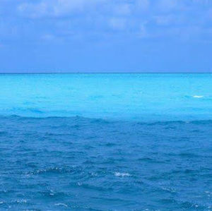 Meet your Posher, Janelle